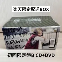 aiko 最後に熱い日々を狂わしき想いで 初回限定版Ｂ