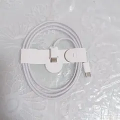 純正品 アップル Apple USB-C - C ケーブル