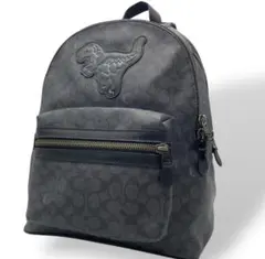 2026年最新】coach レキシー リュックの人気アイテム - メルカリ
