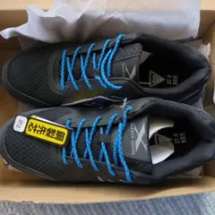 Item thumbnail for item 92cfd6a0-fb8f-4cc1-8365-34434d0cf238