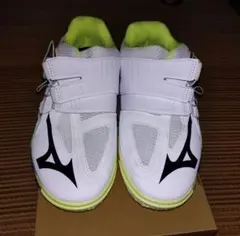 Item thumbnail for item fe579b2c-2c3e-4d1d-82bf-1ea101772c0d