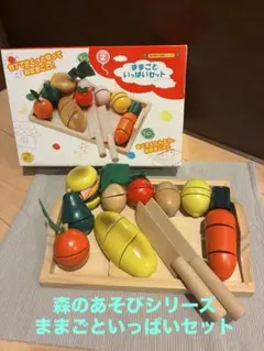 ままごといっぱいセット 森のあそび道具シリーズ 知育玩具 完全セット 箱付き