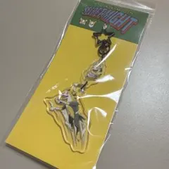 2連アクリルキーホルダー SECRET of MIGHT ワンパチ＆パルスワン