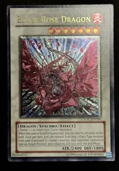 北米　ブラックローズドラゴン　レリーフ