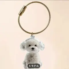 うちの子のけだまだま　トイプードル　毛玉入れ