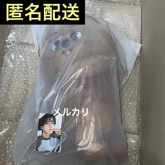 SKZOO PLUSH BAG HANQUOKKA ハン トレカ付き ぬいぐるみ