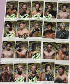 格闘技選手ポートレートカードセット 20枚or30枚