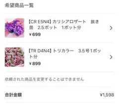 速達　ray様 リクエスト 2点 まとめ商品