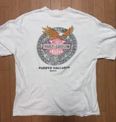 ハーレーダビッドソン ブルーファイヤーフレーム ビッグロゴ両面 ロンT XL