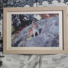 Item thumbnail for item 3f63e225-80b9-4bd7-aa51-454a2dd89d30