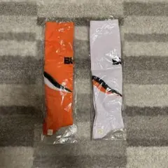 立正大学ソックス