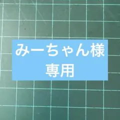 【匿名配送】みーちゃん様専用