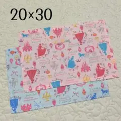 ランチョンマット 20×30 2枚セット　プリンセス柄色違い　女の子用　女児