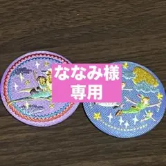 ななみ様　専用　 アラジン＆ピーターパン　２つset