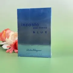 フェラガモインカント プールオム ブルー EDT 100ml