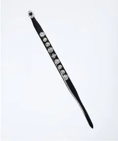 Item thumbnail for item aab6ee6c-cc05-483d-bc2f-e13d70d59a6f