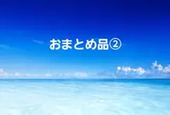 とら（※複数購入歓迎プロフ必読※）様　②