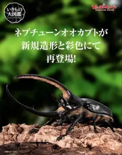 【オンライン版】　いきもの大図鑑　かぶとむし08 ネプチューンオオカブト（改）