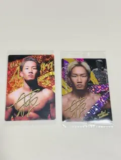 Item thumbnail for item 4c7d1a07-5fa3-4c66-ab6e-f2111b0e8ff1