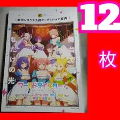 １２ ワールドダイスター  フライヤー