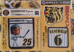 リアル似顔絵ポケットワッペン 新井貴浩＃25☆新品☆選手ワッペン 金本知憲＃６のサムネイル