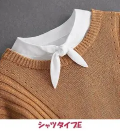 レディース 付け襟 シャツタイプE つけ襟