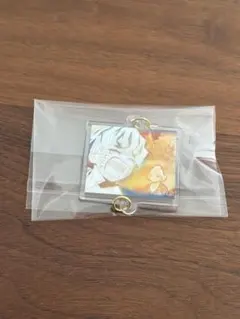 三四狼様 リクエスト 2点 まとめ商品