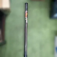 Item thumbnail for item 80aba78f-a6d8-4e20-811f-3de5cb977787