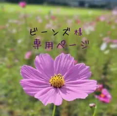 ビーンズ様★専用ページ