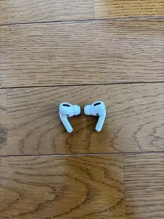 AirPods Pro 第1世代 A2083 A2084