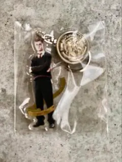 ハリーポッター　アクリルチャーム　ホグワーツコレクション　ハリー