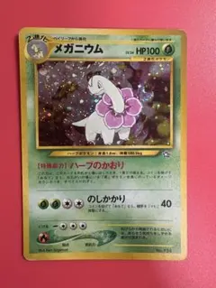 旧裏　メガニウム_プレミアムファイル PROMO 第1世代 1996~1999