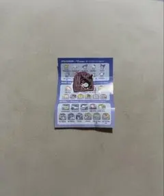 サンリオキャラクターズ サプライズ ピンバッジ クロミ