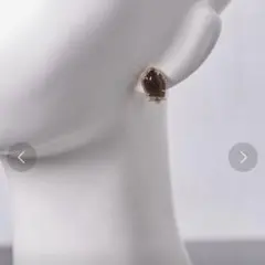 ユナイテッドアローズ　ビジューイヤリング