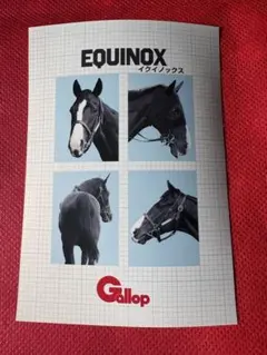 イクイノックス Gallop ブロマイド