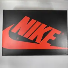 Nike Air Jordan 1 Retro Low OG 