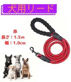 Item thumbnail for item f346069c-d289-4c5e-bb10-b6ff75523a79