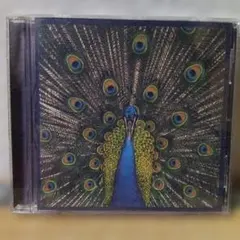 The Bluetones Expecting to Fly