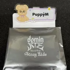 stray kids スキズ dominATE ネームバッチ スンミン パピーム