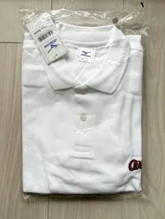 Item thumbnail for item 5babdd45-c221-4bdf-a908-8a5d447f4382