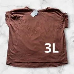 CINEMA CLUB 半袖 Tシャツ テラコッタ 3Lサイズのサムネイル