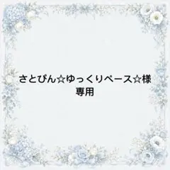 さとぴん☆ゆっくりペース☆様　専用