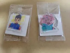 イナズマイレブン アクリミニ　綱海条介　宇都宮虎丸　2点セット