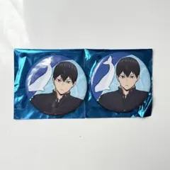 ハイキュー アクアリウムキャラバン 水族館 スタンプラリー 缶バッジ 影山飛雄