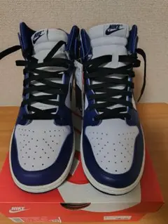 W NIKE DUNK HIGH 29cm 新品未使用のサムネイル