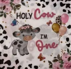 Item thumbnail for item fb48d12b-f95d-4f66-8bfc-e559fd54d7ca