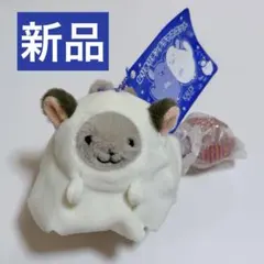 【新品】お顔厳選　KALDI なりきりチンチラマスコット ぬいぐるみ　グレー