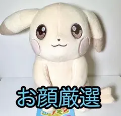 【早い者勝ち‼️】 ぬいぐるみ ぽこ あ ポケモン ピカチュウ 2点セット 早い者勝ち‼️】 ぬいぐるみ ぽこ あ ポケモン ピカチュウ 2点セット