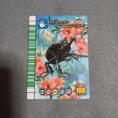 甲虫王者ムシキングカード わざカード 34枚。 2026年最新】ムシキング わざカードの人気アイテム - メルカリ