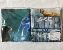 ゴジラVSコング オリジナルブランケット